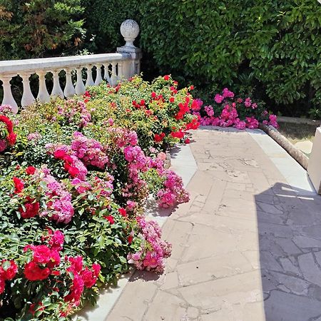 La Villa Des Ames Liees ดรากิญญ็อง ภายนอก รูปภาพ