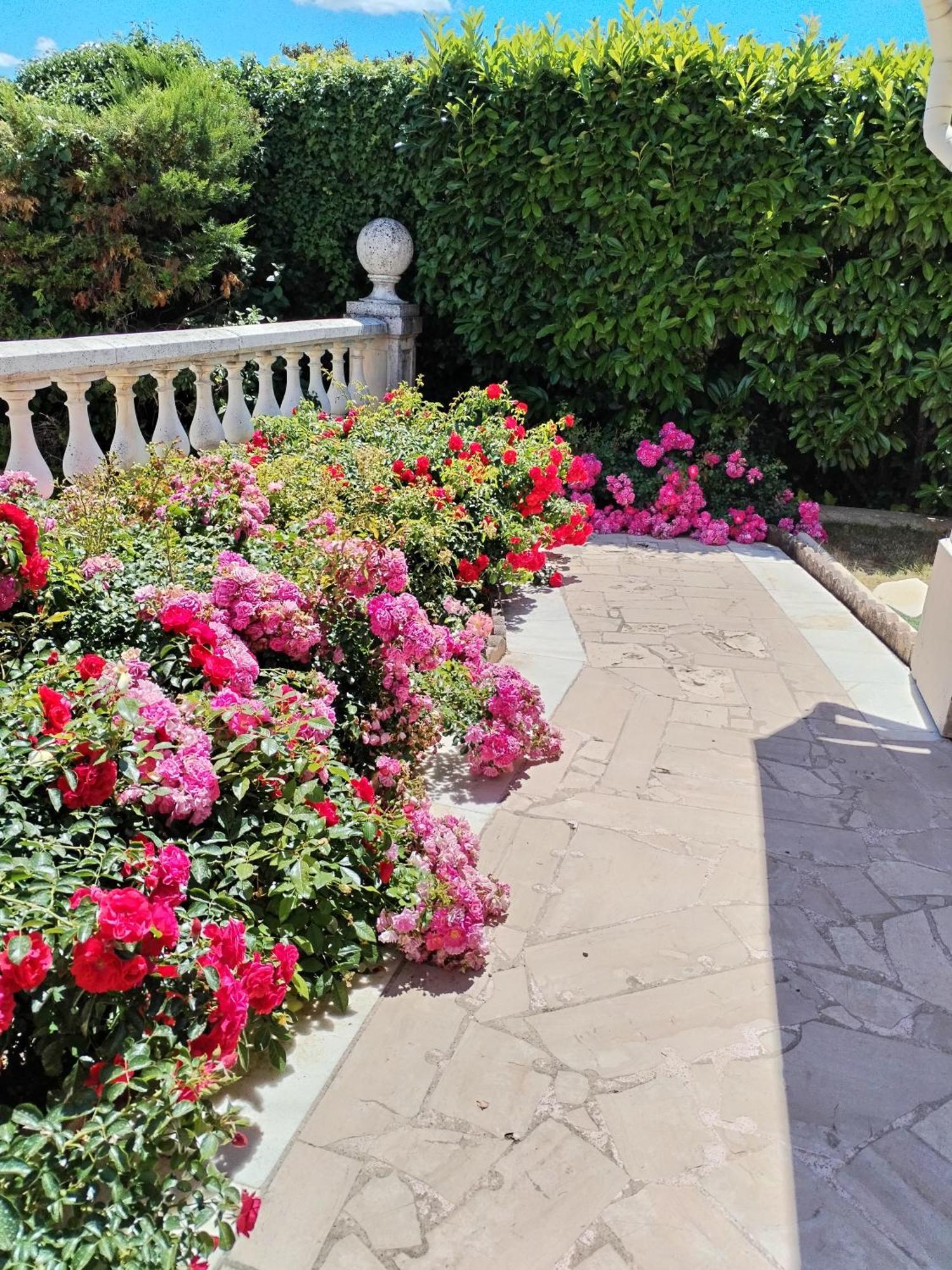 La Villa Des Ames Liees ดรากิญญ็อง ภายนอก รูปภาพ